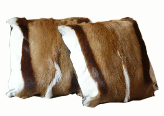 Cushions Cushions