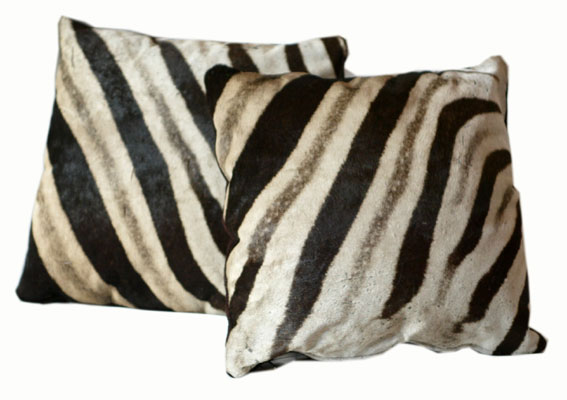 Zebra Zebra