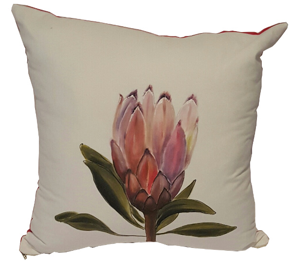 protea protea