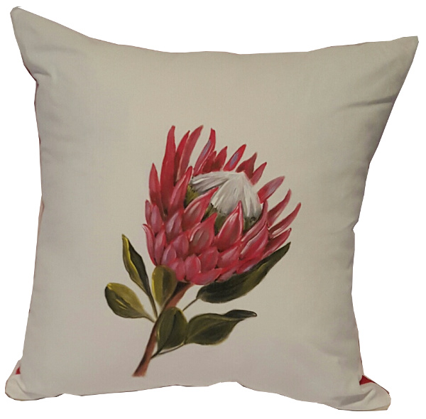 protea protea