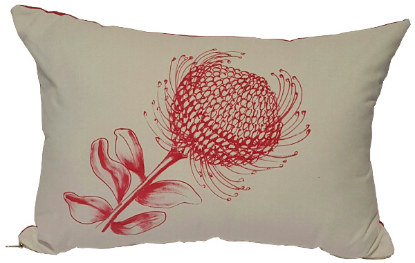 protea protea