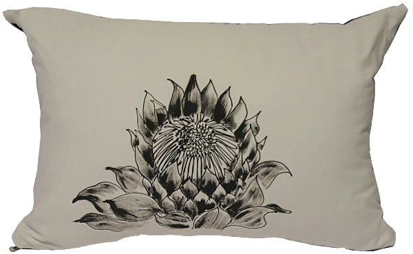 protea protea