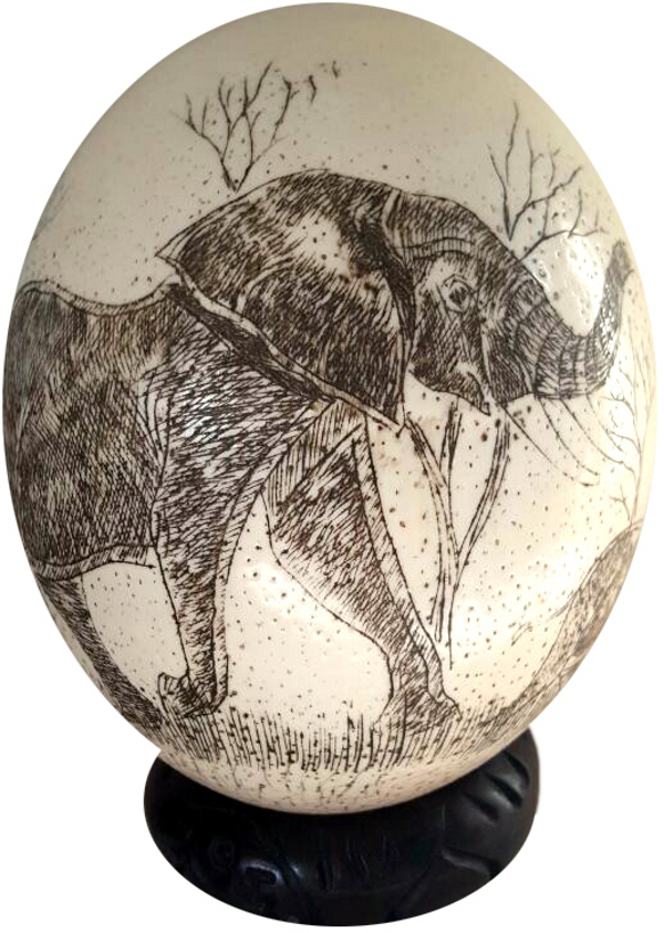 Scrimshaw Egg Scrimshaw Egg