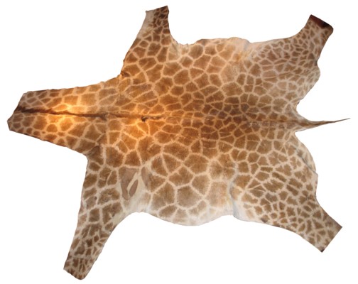 Giraffe Giraffe